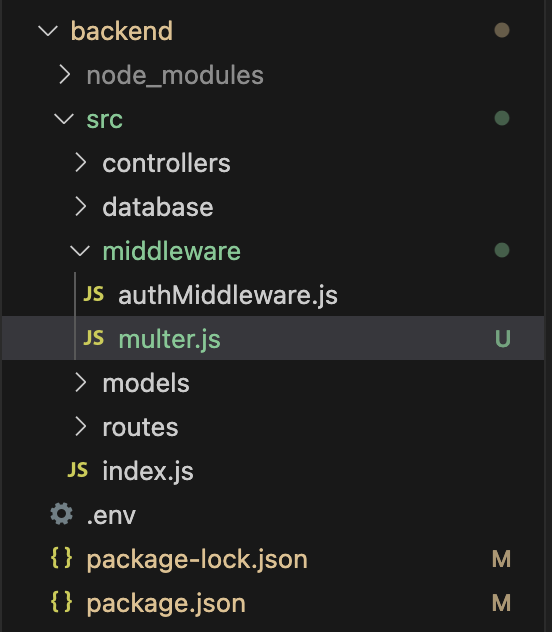 Multer File Structure